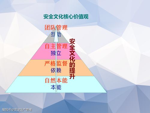以服务外包模式提升企业安全管理效能